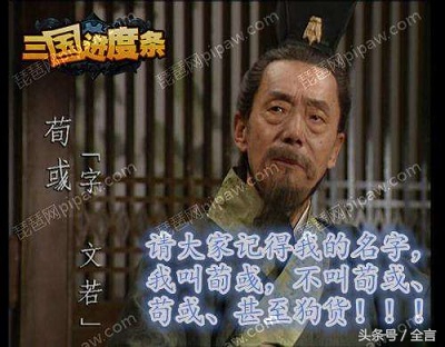 袁绍三国志评价,袁绍简介及评价50字