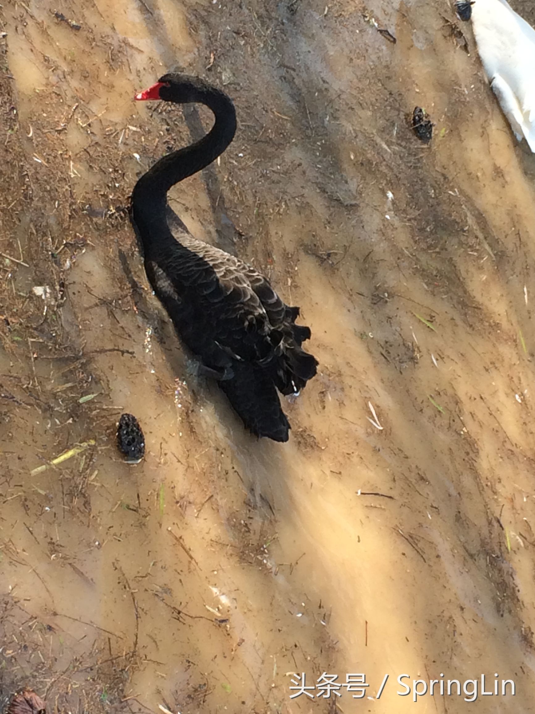 三门峡豫西大峡谷旅游攻略,豫西三门峡全景图