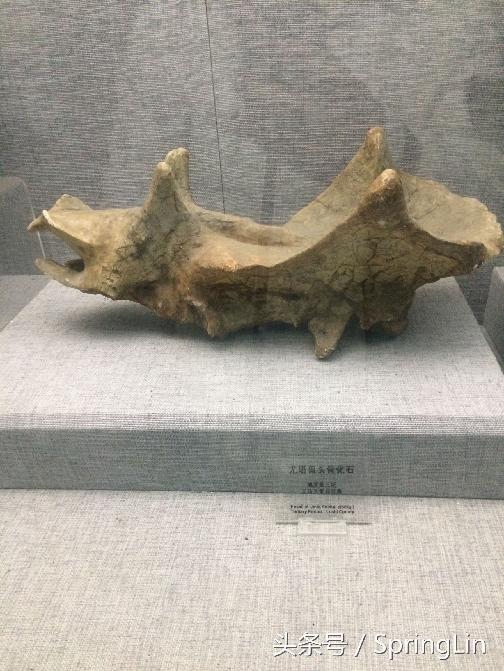 三门峡豫西大峡谷旅游攻略,豫西三门峡全景图