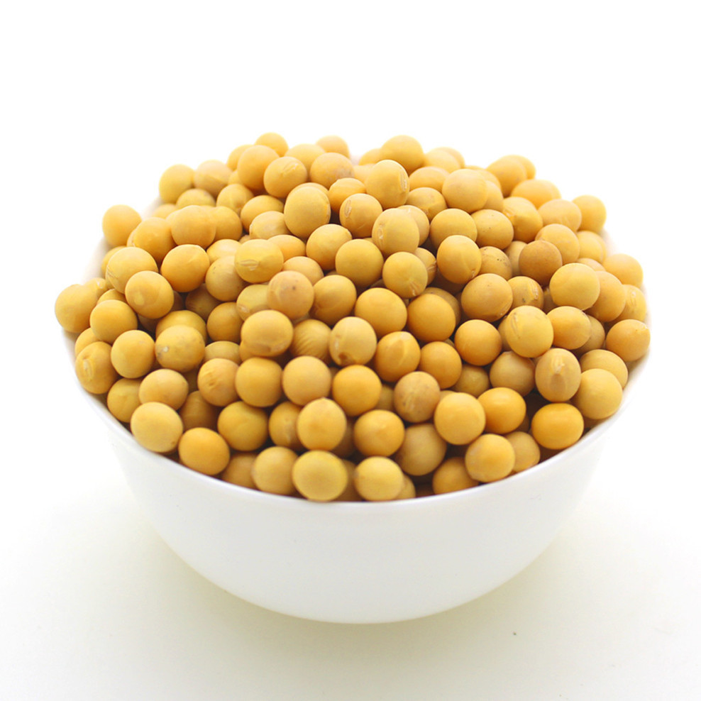 女神都是怎么练出来的,女神是怎么炼成的脱口秀