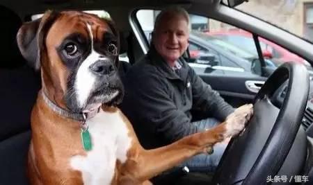 车子哪地方坏了需要花大价钱,老车会坏哪些地方