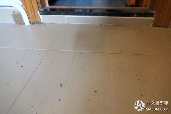 专为亚洲女性设计,松下拖吸一体吸尘器测评