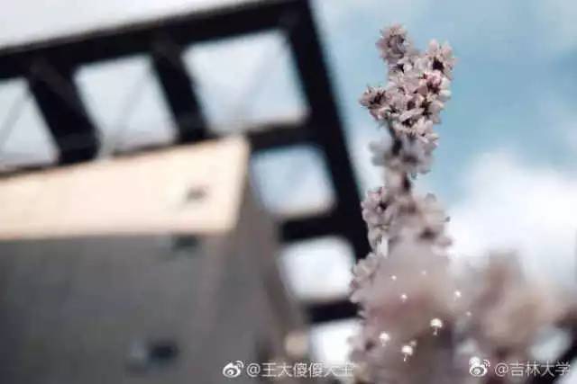 林志玲360无死角是真的美,全球最美360无死角的美女