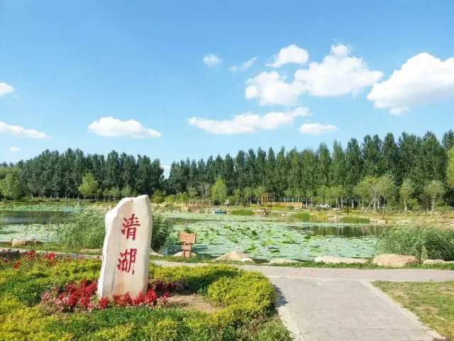 林志玲360无死角是真的美,全球最美360无死角的美女