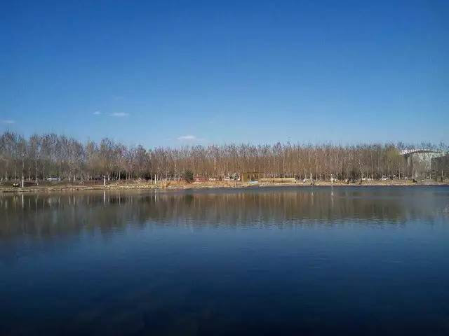 林志玲360无死角是真的美,全球最美360无死角的美女