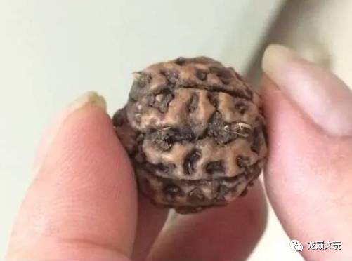 正品金刚和仿品金刚,变形金刚假的冒牌货