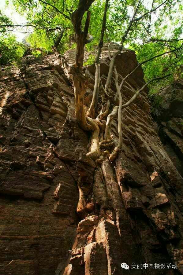 黄河丹峡韶山峡,渑池县韶山峡景区