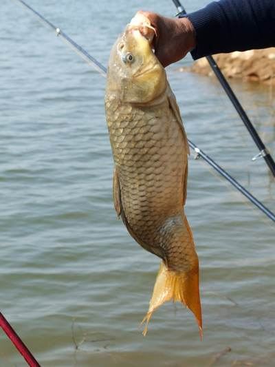 双内走线绑钩,简单易学,永不脱钩!