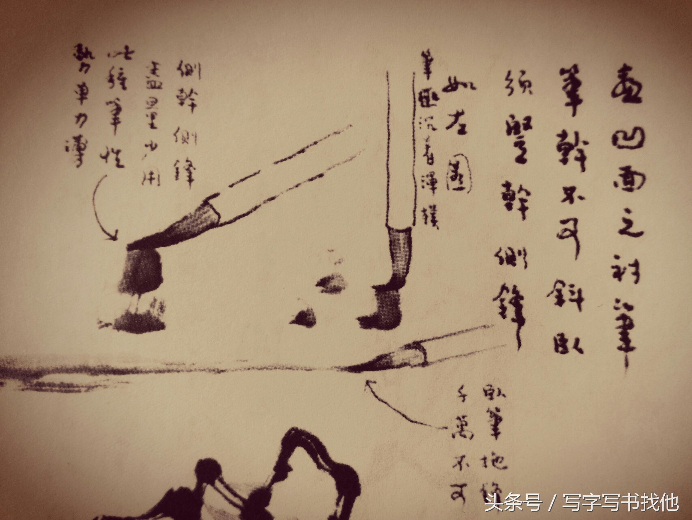 湖石的画法和技巧,工笔湖石画法