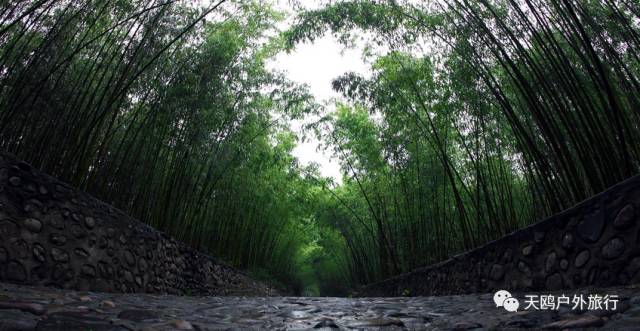 踏春出游来洛阳,踏春周末出游
