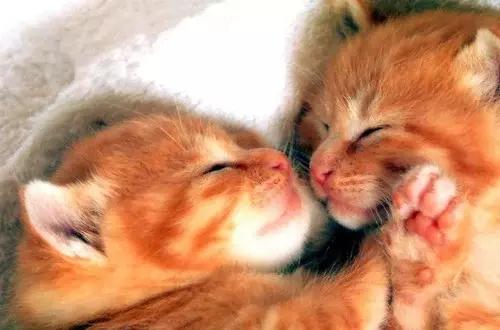 爆笑段子小明滚出去,小明滚出去之大头儿子小头爸爸