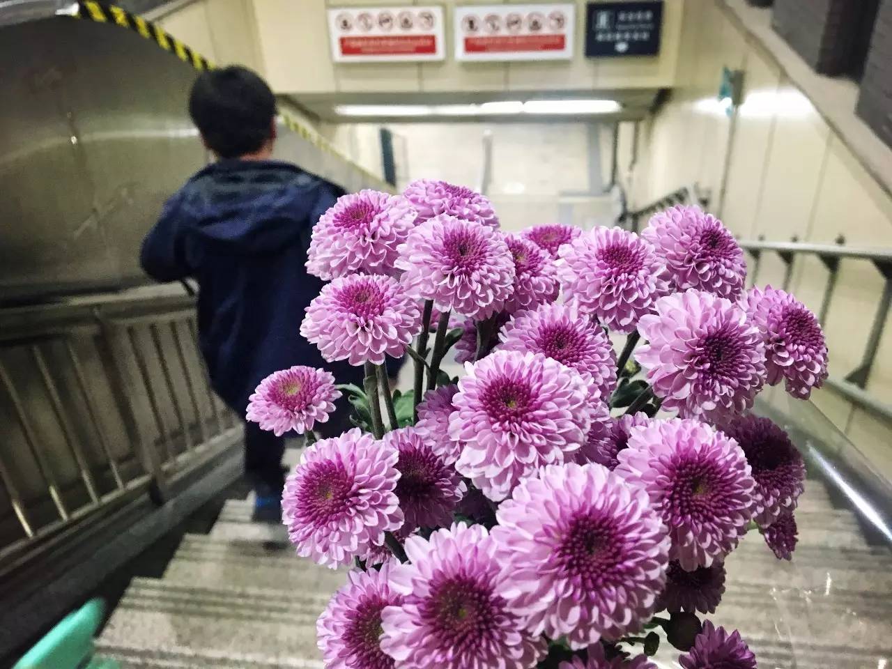 北新桥卤煮老店大众点评,北新桥卤煮老字号