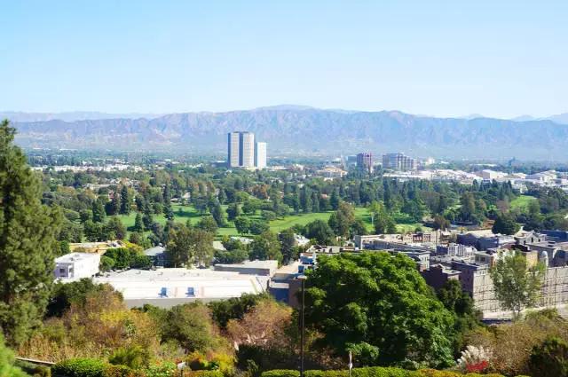 速八为什么突然火了,速八为什么有5个人