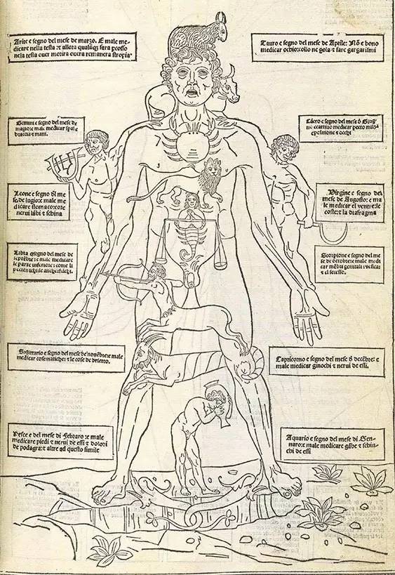 古今中外绘画欣赏,解剖全国绘画优秀作品