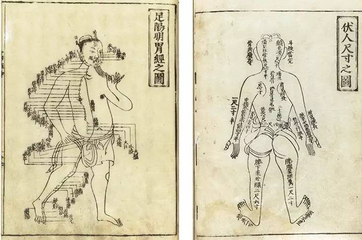 古今中外绘画欣赏,解剖全国绘画优秀作品