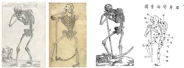 古今中外绘画欣赏,解剖全国绘画优秀作品