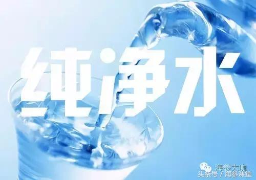 买的海参为什么是湿的,海参泡不大是假的吗