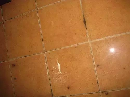 衣柜靠近卫生间发霉怎么彻底解决,卧室靠近卫生间柜子发霉怎么处理