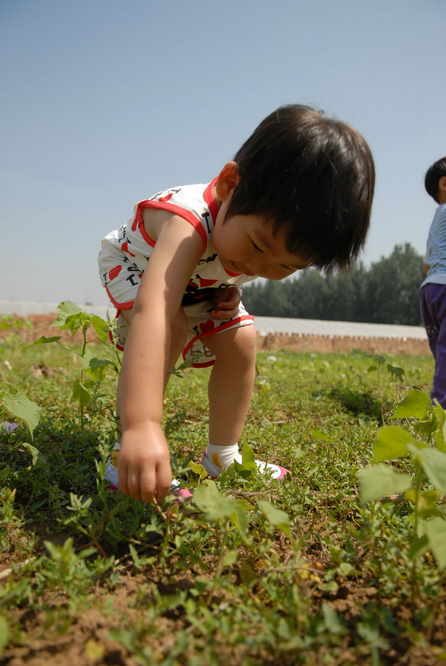 一家有自己农场的幼儿园，关于教育的思考（二）