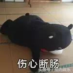 芒果台电视剧人民的名义全集视频,人民的名义芒果台直播