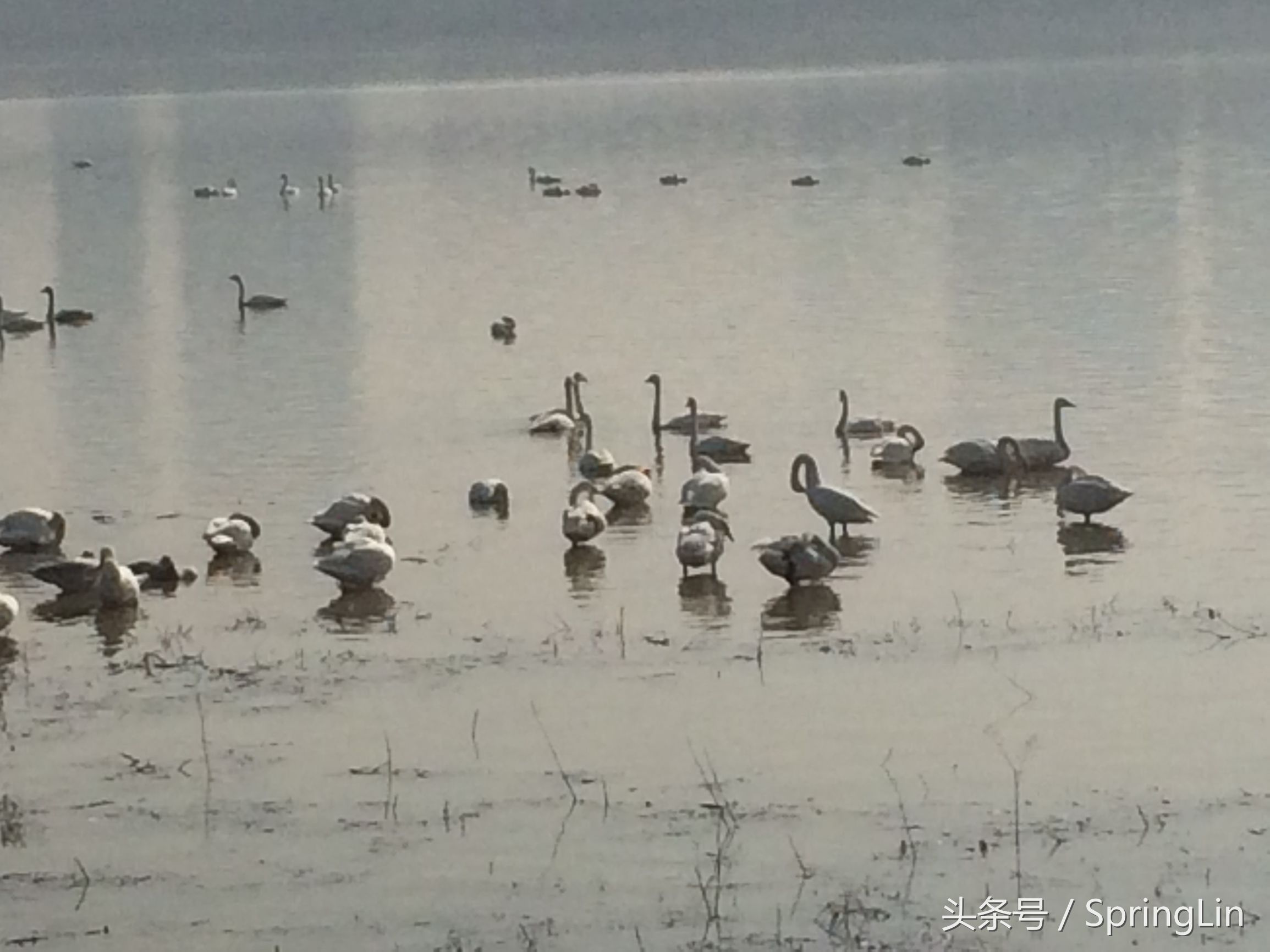 三门峡豫西大峡谷旅游攻略,豫西三门峡全景图