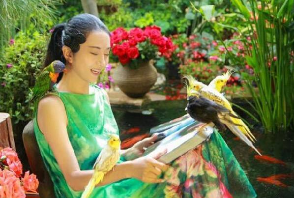 鲁豫采访杨丽萍的太阳宫视频,鲁豫访问杨丽萍月亮宫