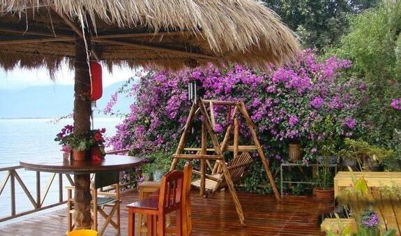 鲁豫采访杨丽萍的太阳宫视频,鲁豫访问杨丽萍月亮宫