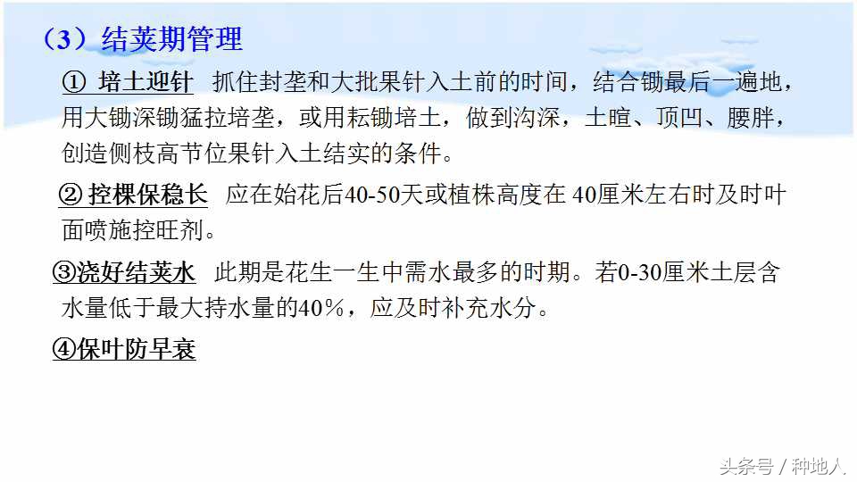 已经开始种花生了怎么种,马上要种花生了