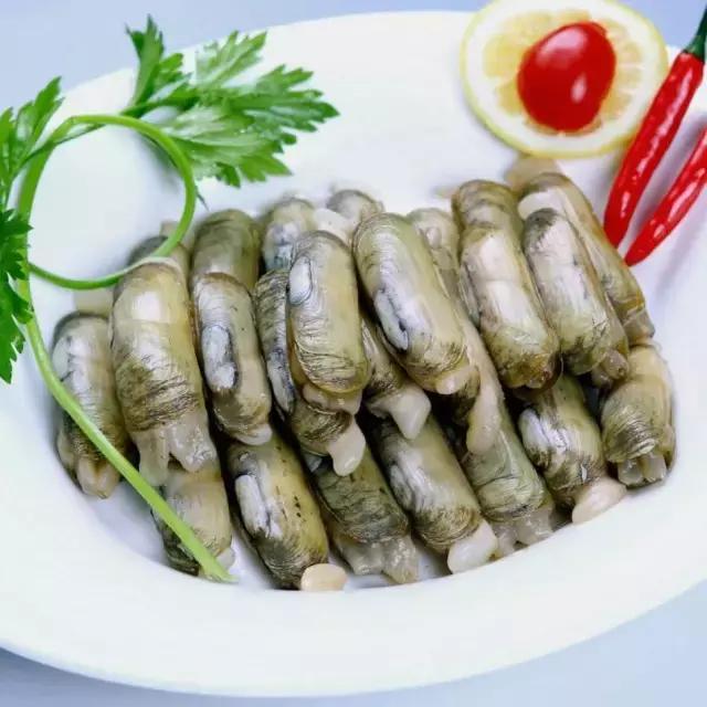 西施舌怎么挑,什么是西施舌