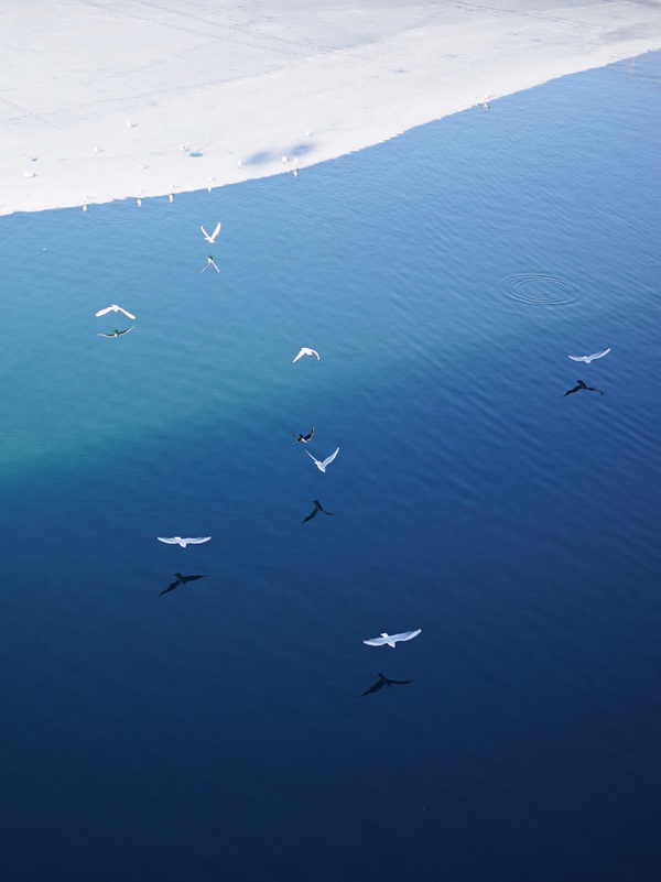 春季手机摄影大赛,摄影有哪些大赛