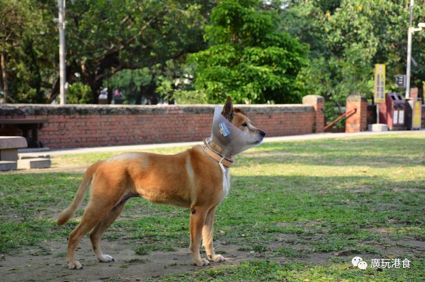 找回“过日子”的感觉,就在台南!