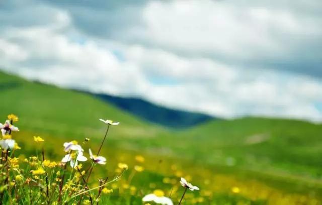 四川不可不去的十个景区,四川湿地风景区