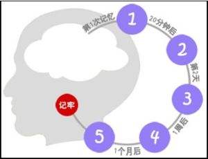 如何用记忆力法在初次见面记住对方姓名和长相?