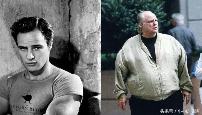 岁月就是一把猪饲料,岁月就是一袋猪饲料