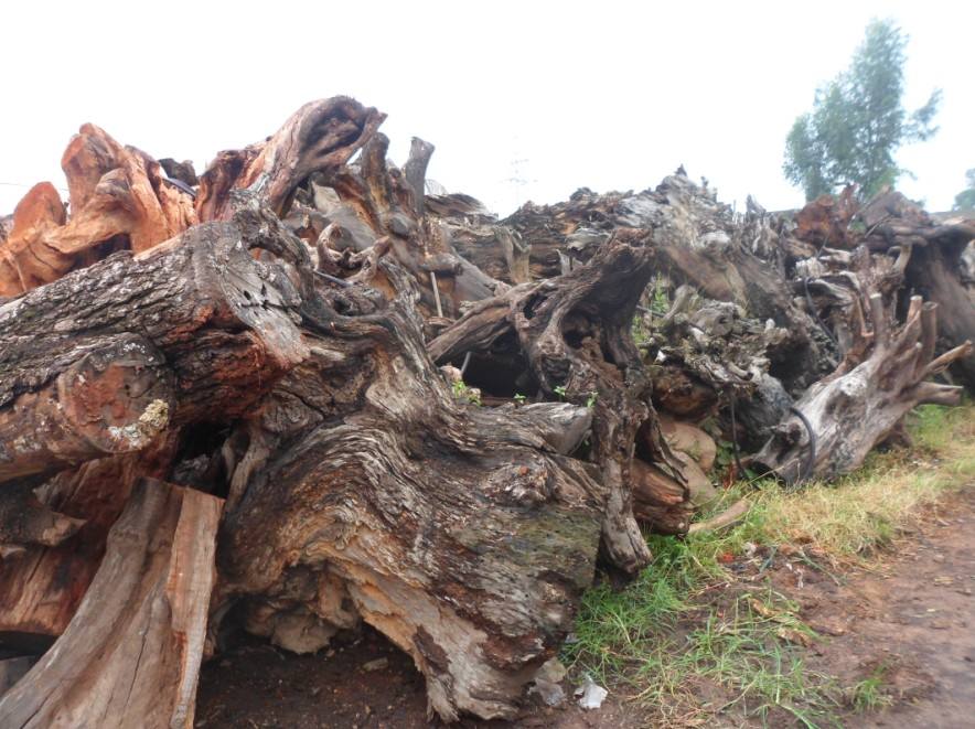 根雕手工茶几制作过程,根雕茶几制作过程视频