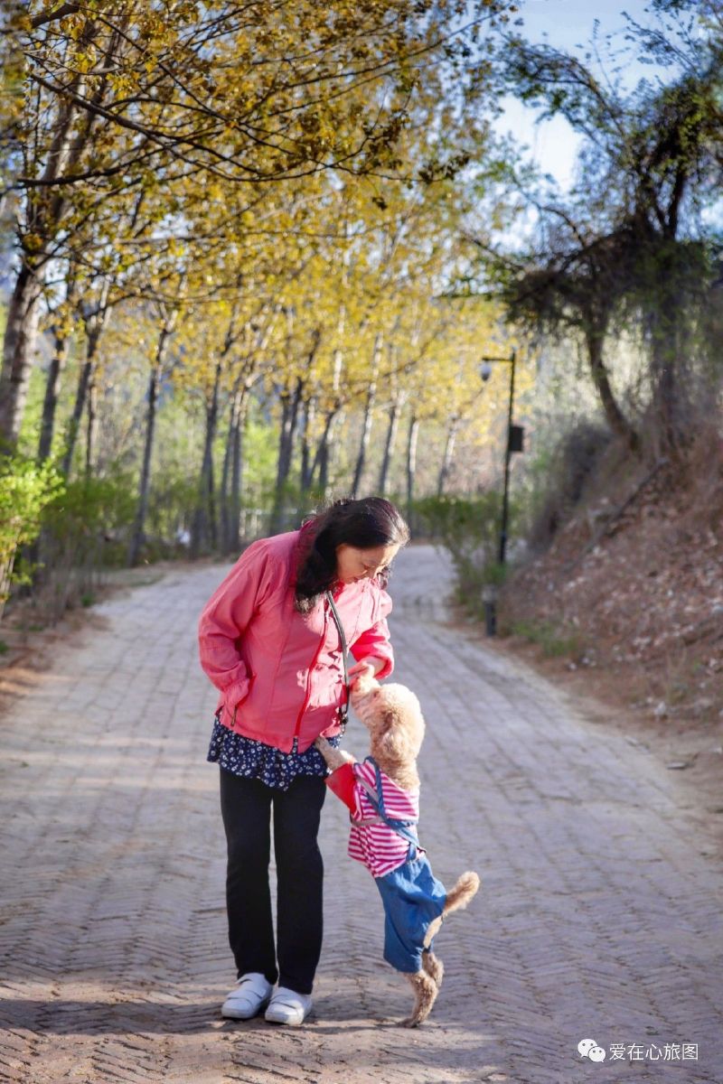 昌平印象山庄风景图,北京昌平美景山庄