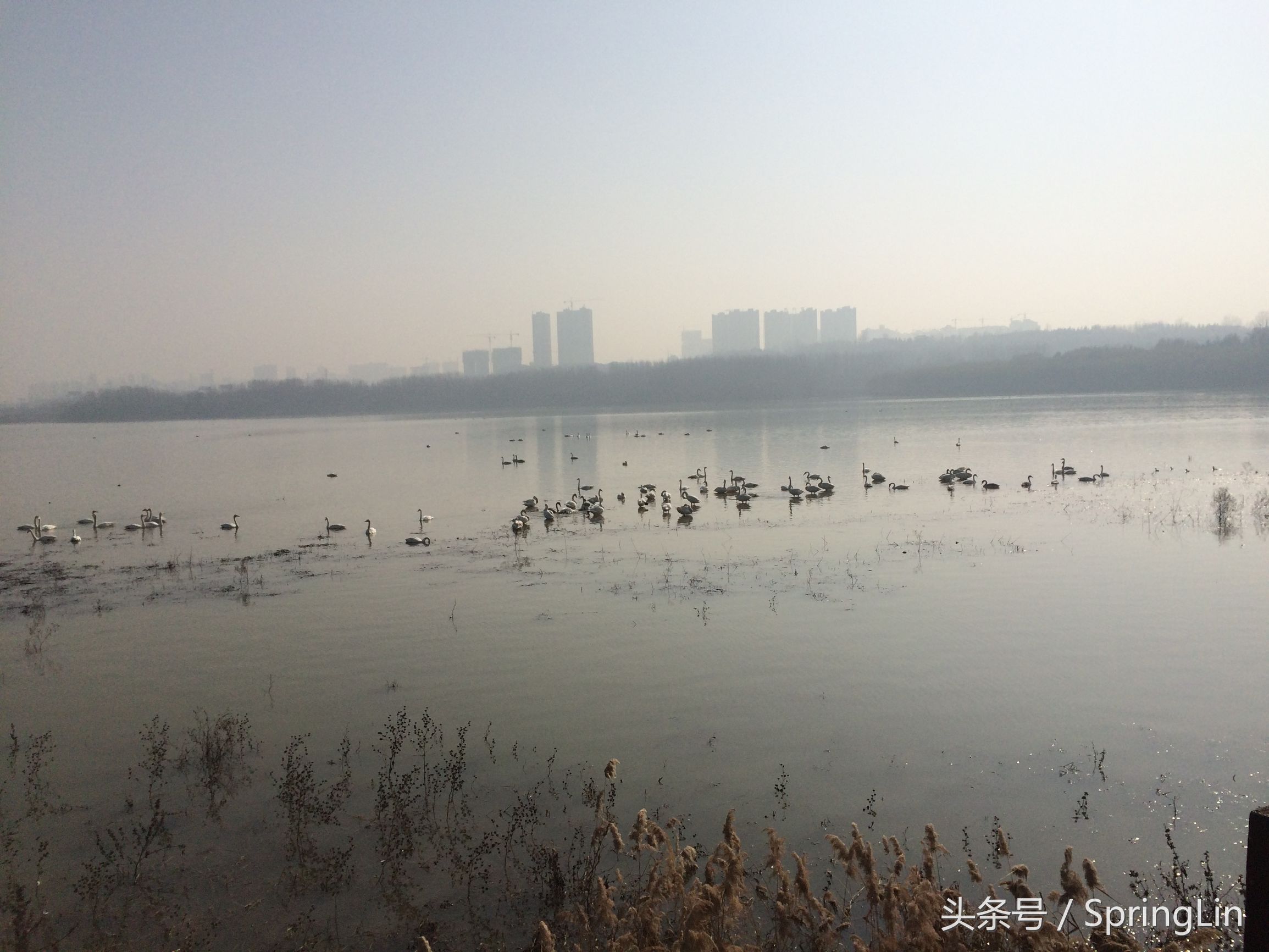 三门峡豫西大峡谷旅游攻略,豫西三门峡全景图