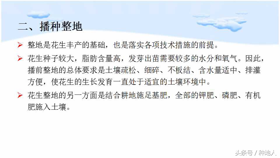 已经开始种花生了怎么种,马上要种花生了