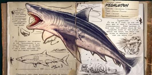 世界上有没有长相奇怪的鲨鱼,所有怪异鲨鱼的视频