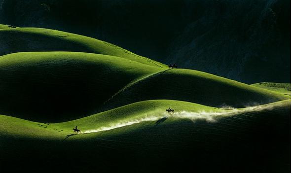 春季手机摄影大赛,摄影有哪些大赛