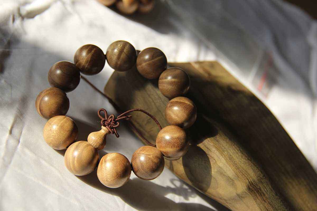 楠木家具金丝楠,金丝楠的楠木苗