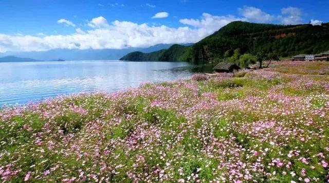 四川不可不去的十个景区,四川湿地风景区