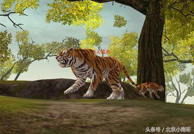 细说那些经典火爆网游中的威猛老虎