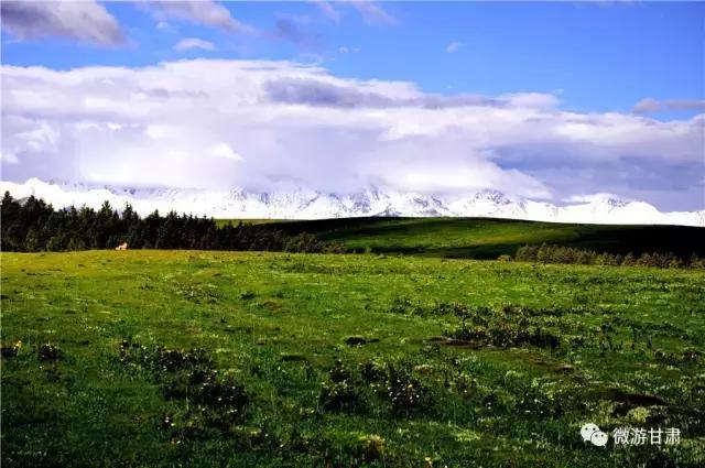 中华裕固族风情走廊与康乐草原,冬季的裕固族风情走廊