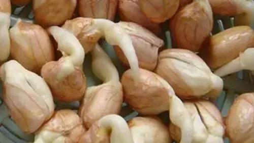 比牛奶鸡蛋还好的它稳血糖护心脏,牛奶对心脏和血管有利还是有害