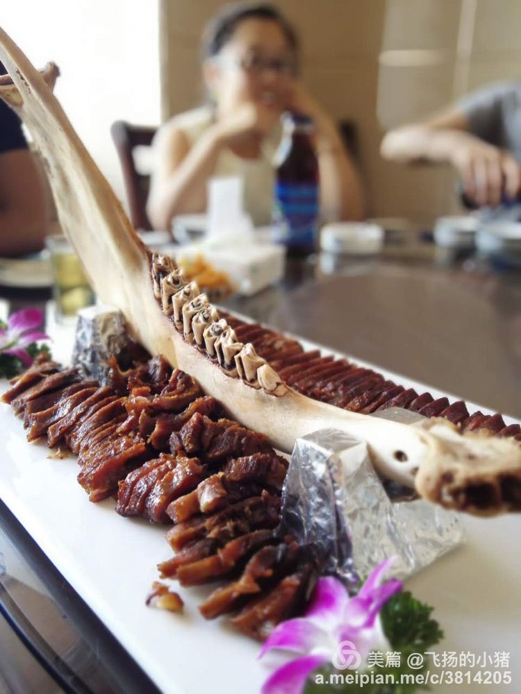 北京到贝加尔湖自驾游攻略,自驾游去贝加尔湖怎么走最好