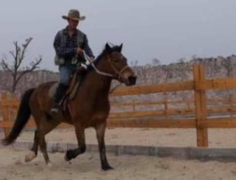 望亭污染,望亭发电厂污染严重吗