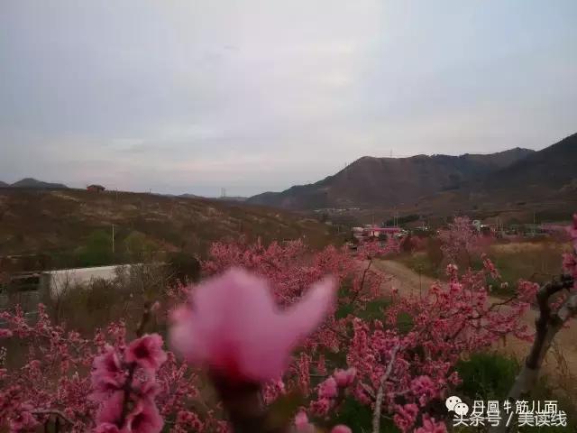 靳胜原创诗歌《走过丹凤那些路》