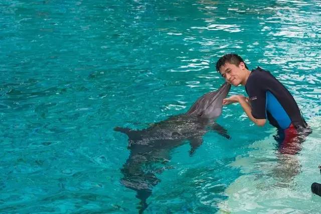 在德国东西被偷怎么办,在德国被偷多少钱可报案