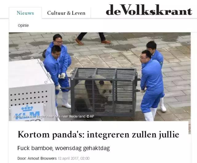 荷兰迎接中国大熊猫,大熊猫在国外有警车开道